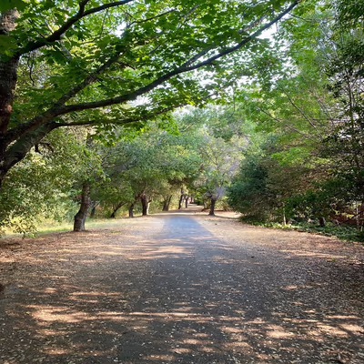 Westridge Open Space photo 1